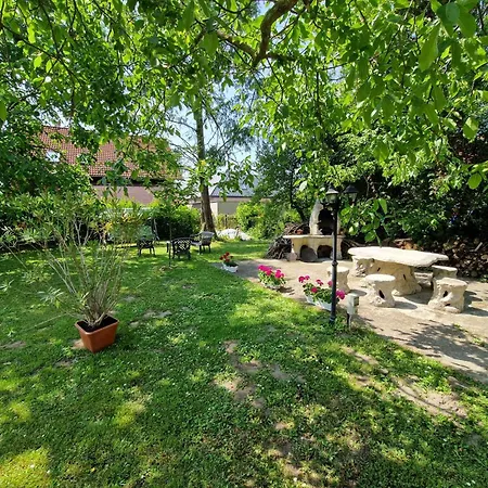 In - Balaton 19160 *