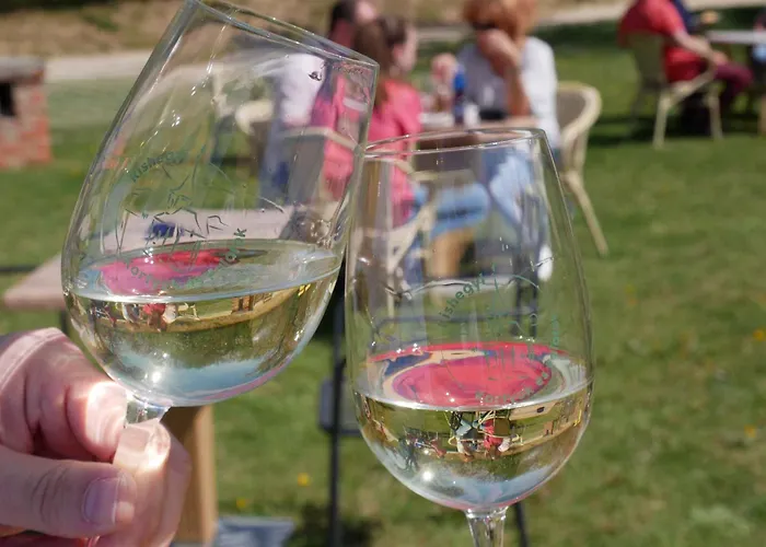 In - Balaton 19160 Balatonlelle